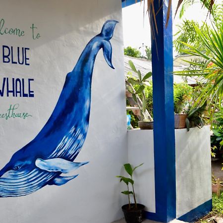 Blue Whale Guesthouse Gili Trawangan Exterior foto